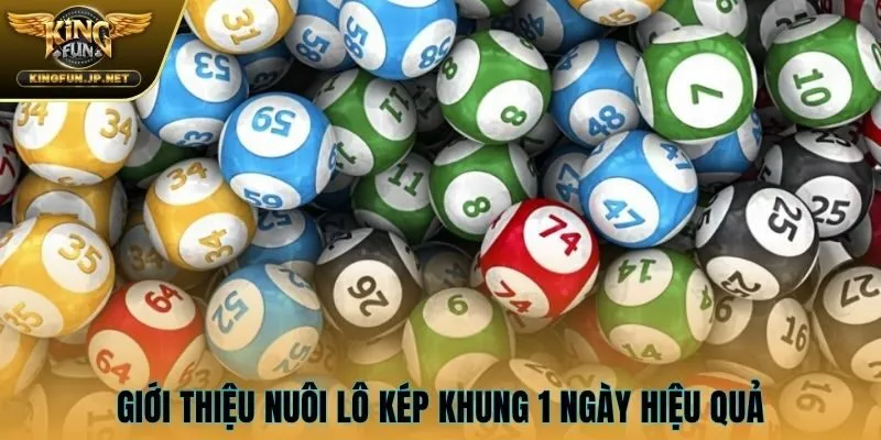 Giới thiệu nuôi lô kép khung 1 ngày hiệu quả