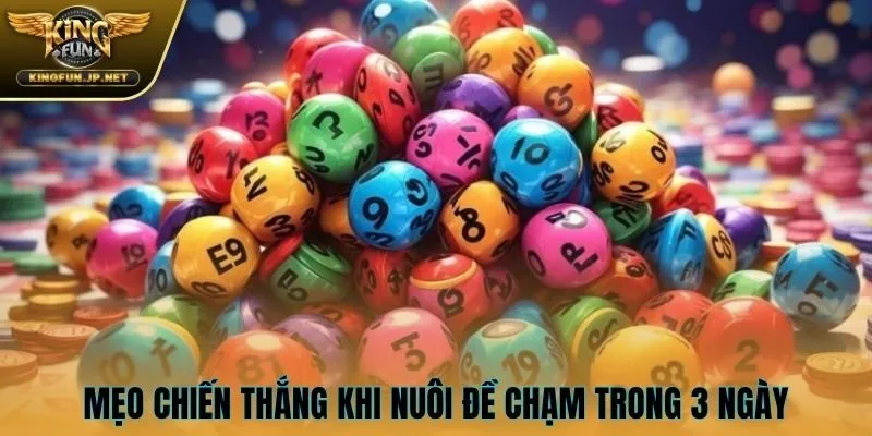 Mẹo chiến thắng khi nuôi đề chạm trong 3 ngày