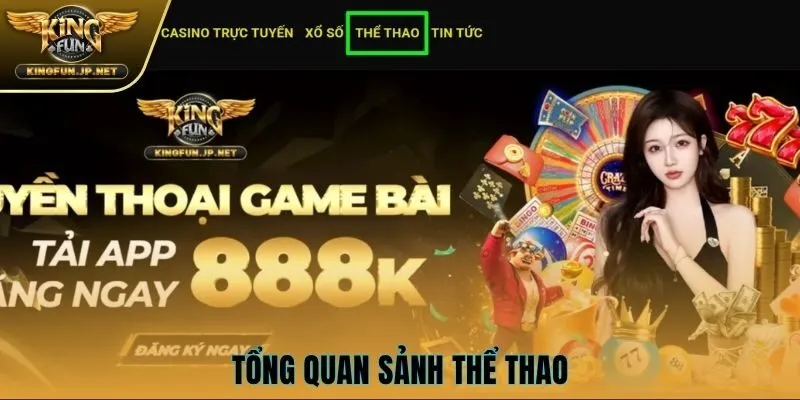 Tổng quan sảnh thể thao