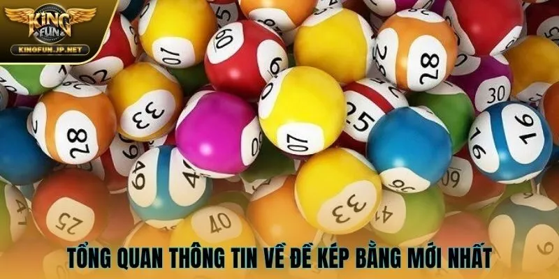 Tổng quan thông tin về đề kép bằng mới nhất